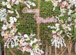 image00001