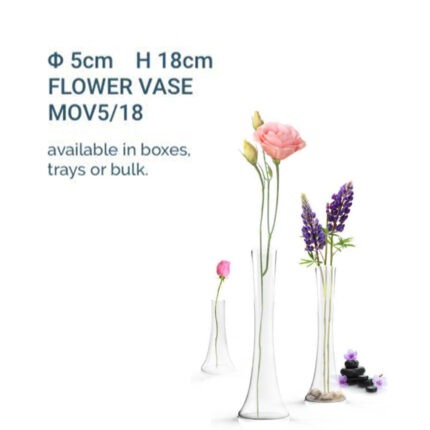Glass vases